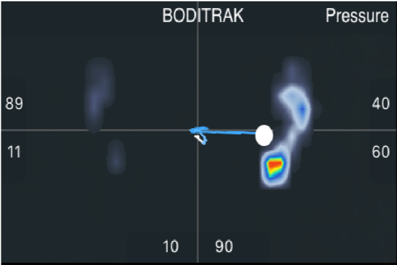 BodiTrak Performance - Pressure and Force Mat with Naboso covering