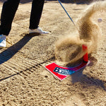 Close-up ground-level view of a wedge striking sand at the EyeLine Golf Bunker Pro entry peg with ball launching out and sand exploding upward